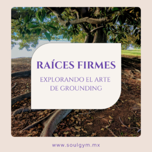 Raíces firmes: explorando el arte de grounding