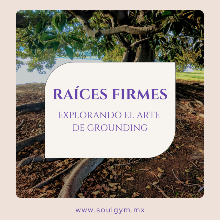 Raíces firmes: explorando el arte de Grounding
