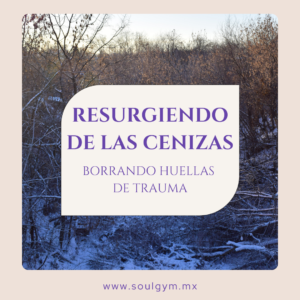 Resurgiendo de las cenizas: Borrando huellas de trauma