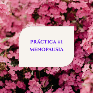 PRACTICA 1 MENOPAUSIA